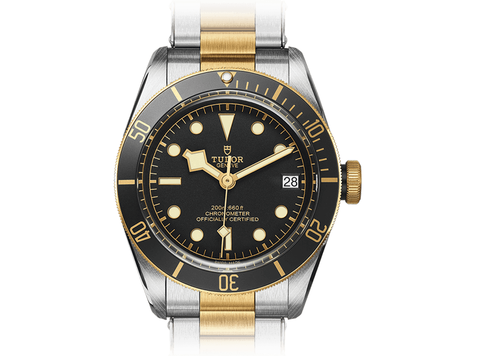 Buy original Tudor BLACK BAY S&G M79733N-0008 with Bitcoins!